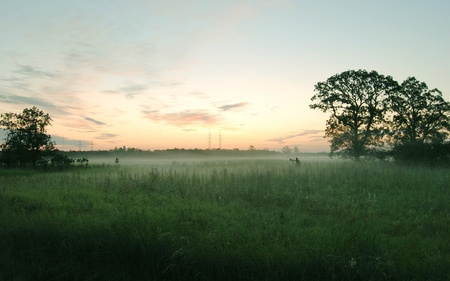 green field and mist  - green-field-and-mist-