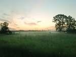 green field and mist 