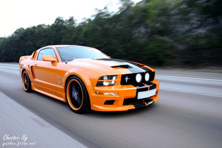 Ford Mustang - ford mustang