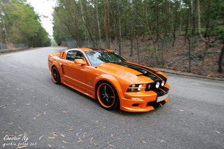 Ford Mustang - mustang