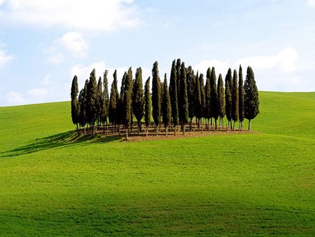 Tuscany-Italy - nature, italy, landscape, trees, tuscany