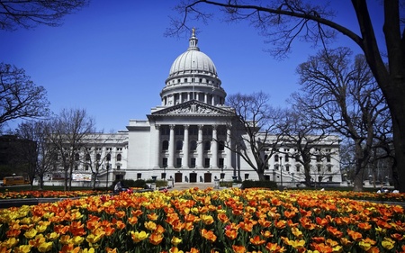 A Madison Spring Day - madison, tulips, widescreen, america, wds, wisconsin, flowers, southeastern wisconsin, usa