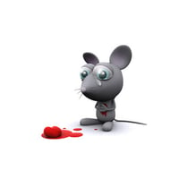 mouse