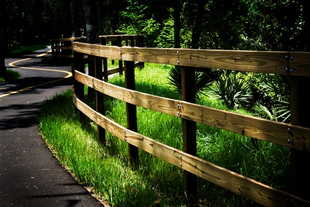 fence in the forest - forest, path, road, beauty, grass, fence, photography, woods, trees, nature, green