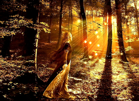 Morning day - magic, girl, gold, morning, forest, tree, fantasy, fairy, sun