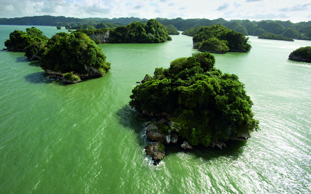 Green Island - nature, forest, green, island, tree, sea