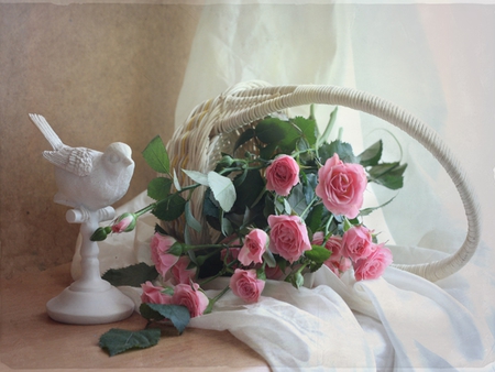 Still Life - beauty, roses, photography, pink rose, basket, rose, still life, with love, white, pretty, green, romance, pink roses, for you, lovely, nature, romantic, beautiful, pink, flowers, colors