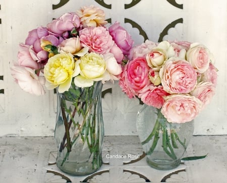 roses - roses, pink, vases, yellow, still life