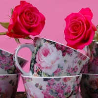 cups and roses