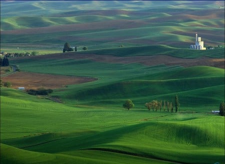 green field - awesome, field, spring, wonderfull, large, green