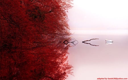 red lake - water, lake, landscape, red