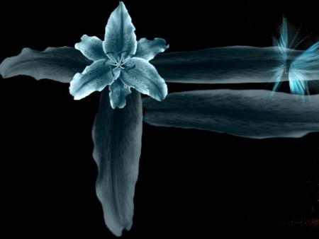 Artistic Flower - flower, artistic, black, abstract, blue