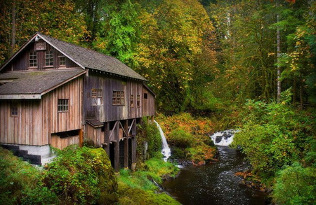 Cedar Creek - lake, plants, cottage, cedar creek, trees, vancouver