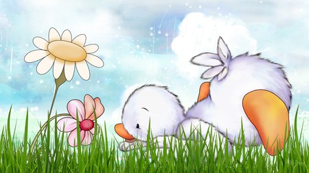 Stop and Smell the Flower - sky, duck, cartoon, abstract, clouds, flowers, firefox persona, grass, cute