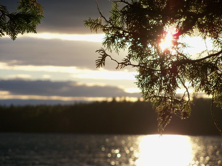 a Sunset to remember - nature, wonderful night, sun, leaves, perspective