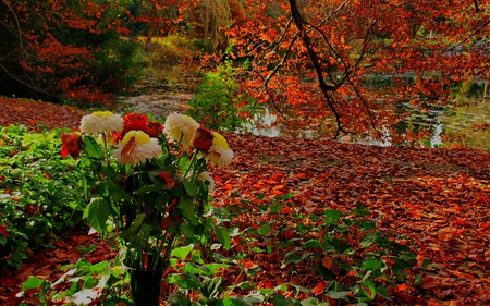 Autumn Flowers - autumn, rust, red, chrysanthemum, flowers, leaf, rose