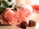 Rose and chocolate