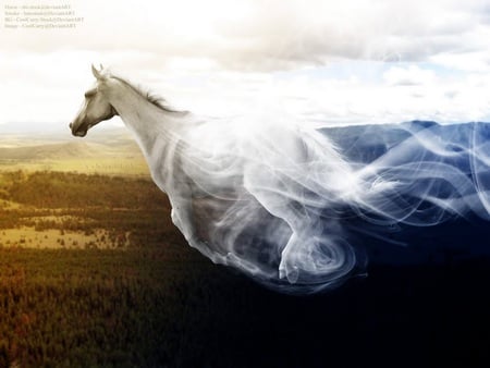 Flying - abstract, horses, forest, horse, animals