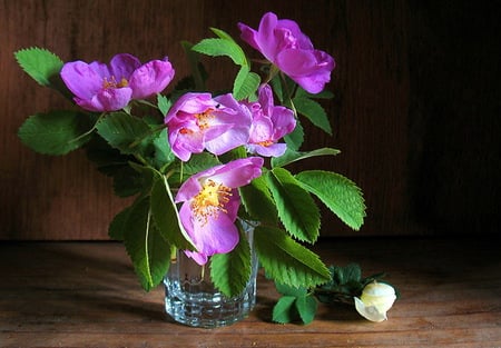 Have a glass of spring - flowers, water, black background, purple, green leaves, glass