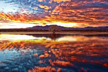 Rippled  gold - reflections, clouds, golden color, hills, sunset, water, ripples