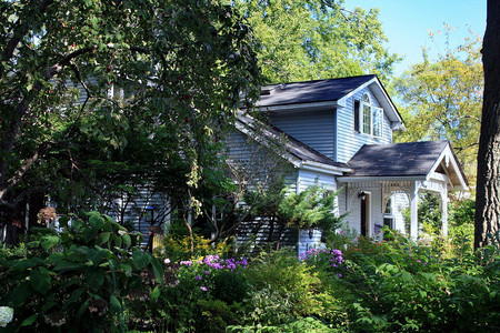 Island Cottage