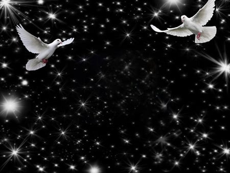 Doves in flight at night - night, love, stars, doves