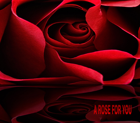 A Rose Just For You :) - passion, red, rose, love, reflection