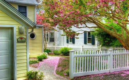 Spring Time - pretty, alley, blossom, grass, spring, pink, home, flowers, view, houses, white picket fence, house, carpet, trees, beautiful, windows, beauty, colors, lovely, architecture, fence, tree, colorful, nature, green, peaceful