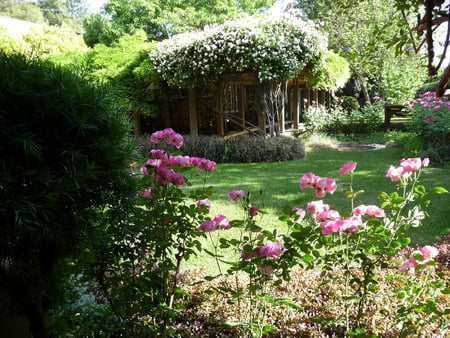 roses garden - arbor, home, roses, flowers, garden