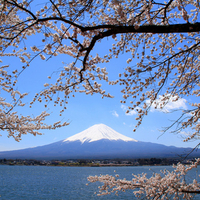 Mt. Fuji