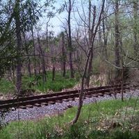 Abrams Creek Wetlands Park