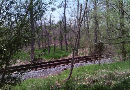 Abrams Creek Wetlands Park - grass, wetlands, trees, train tracks