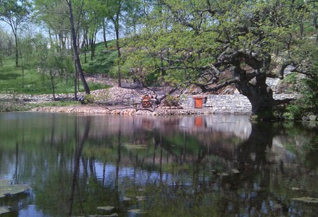 Wetlands Park - reflections, picnic tables, water, tree