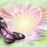 PASTEL BUTTERFLY