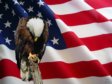 EAGLE PRAYING - happy memorial day, memorial day, american eagle, wind, flag, eagle, floating, fallen soldier, praying, patriotism