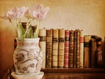 tulips & books