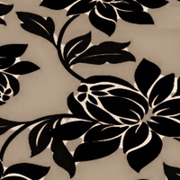 pattern blanche