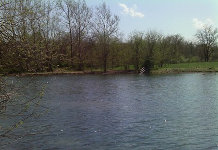 Wetlands Lake - water, sky, lake, trees