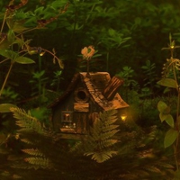 LITTLE HOME IN THE FOREST