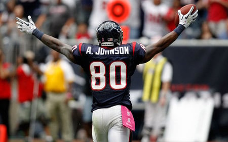 Andre Johnson Vs New York - houston, andre johnson, texans, football