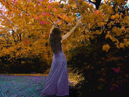 Dansul - woman, autumn, dance, brown, purple, dans, toamna, mov, dress