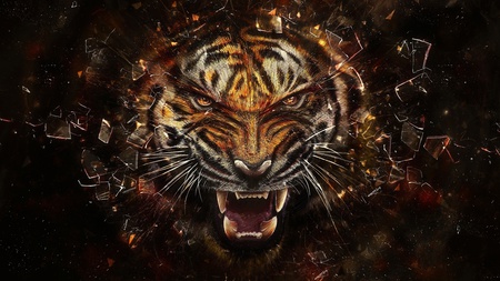 Tiger Glass, Broken - Cats & Animals Background Wallpapers on Desktop ...