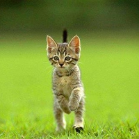 I am walking