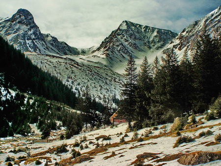 Mountainscape near to me... - bluesky, trees, snow, beauty, mountains, earlyspring, wild