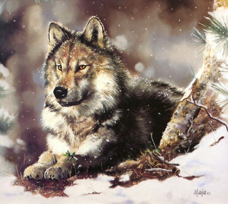 Wolf in Snow - nature, dogs, wolf, painting, snow, lovely, art, animals