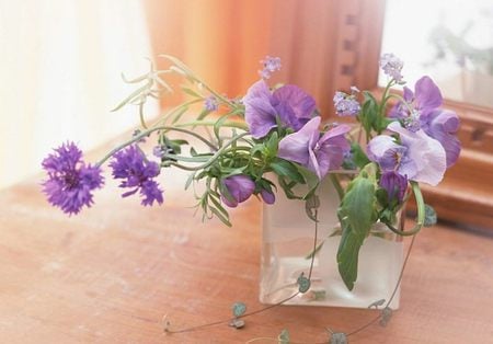 Simply purple - vase, simple, spring, flower, still life, flower arrangements, pansies, natural, fresh, purple