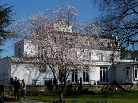 luxury villa - luxury, villa, germany, spring, houses, architecture