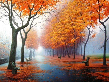 Spring orange - nature, trees, rain, beautiful, colors, road, spring