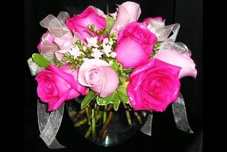 Pink roses - nature, flowers, roses, pink