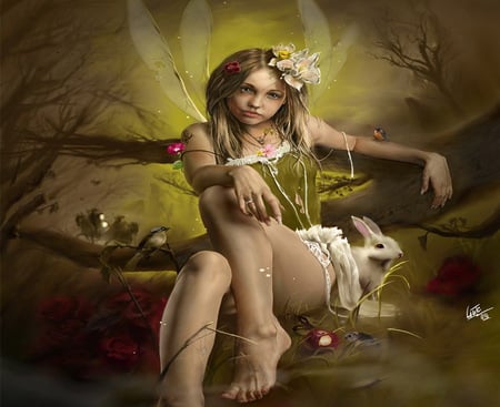 Fairy - abstract, roses, rabbit, girl, night, fantasy, fairy, horsemen, wallpaper